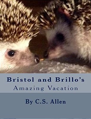 Bristol And Brillo's Amazing Vacation: The Hedgehog Sisters-..