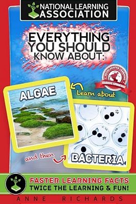 Everything You Should Know About Algae And Bacteria-..