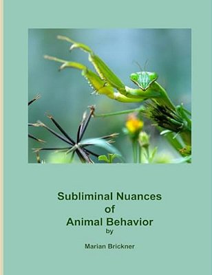 Subliminal Nuances Of Animal Behavior-..