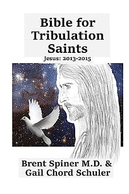 Bible For Tribulation Saints: Jesus: 2013 - 2015-..