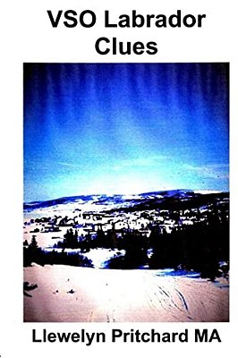 Vso Labrador Clues-..