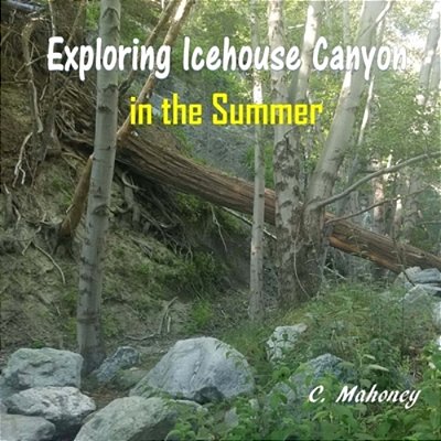 Exploring Icehouse Canyon In The Summer-..