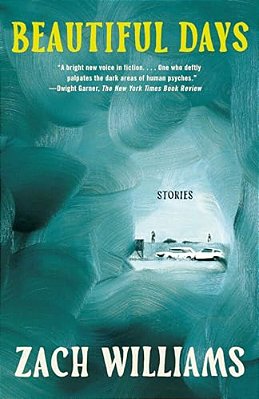 Beautiful Days: Stories-..