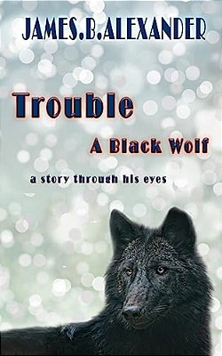 Trouble A Black Wolf: The Story Through His Eyes-..