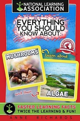 Everything You Should Know About Mushrooms And Algae-..