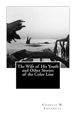The Wife Of His Youth And Other Stories Of The Color Line-..