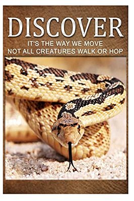 Flyers Gliders- Discover: Early Reader's Wildlife Photography Book-..