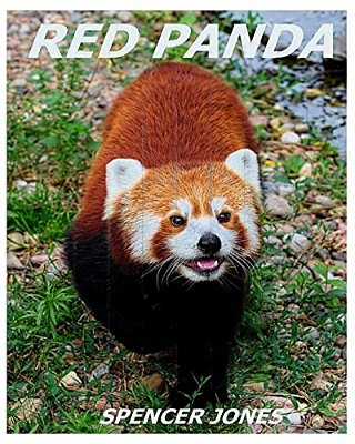 Red Panda: Learn About Red Pandas-Amazing Pictures & Fun Facts-..