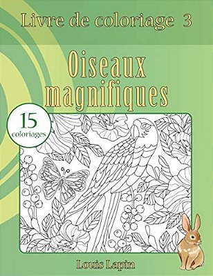 Livre De Coloriage Oiseaux Magnifiques: 15 Coloriages-..