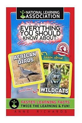 Everything You Should Know About African Birds And Wildcats-..