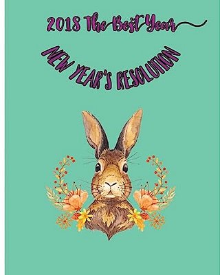 2018 The Best Year: New Year's Resolution-..