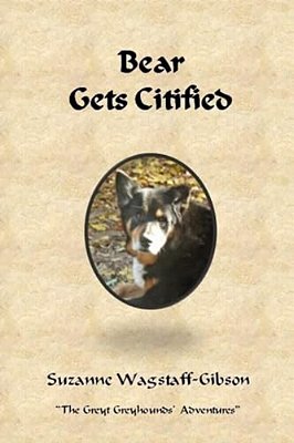 Bear Gets Citified-..