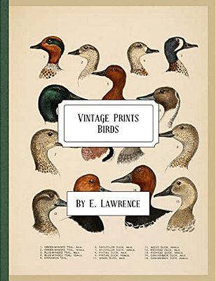 Vintage Prints: Birds-..