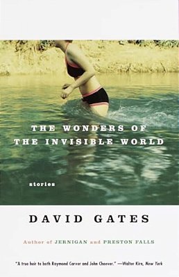 The Wonders Of The Invisible World-..