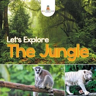 Let's Explore The Jungle-..
