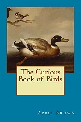 Curious Book Of Birds-..
