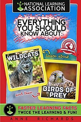 Everything You Should Know About Wildcats And Birds Of Prey-..