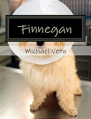 Finnegan-..