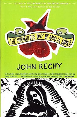 The Miraculous Day Of Amalia Gómez-..