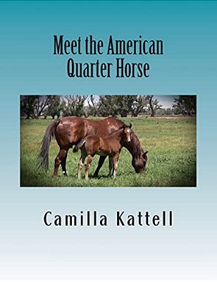 Meet The American Quarter Horse-..