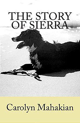 The Story Of Sierra-..