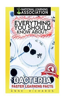 Everything You Should Know About Bacteria-..