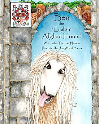 Ben The English Afghan Hound-..
