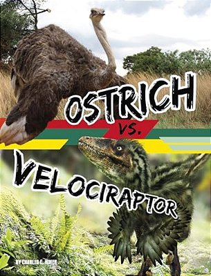 Ostrich Vs. Velociraptor-..