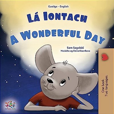 A Wonderful Day (Irish English Bilingual Book For Kids)-..