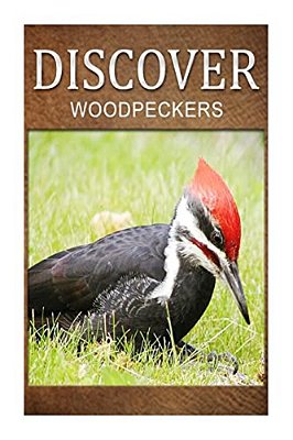 Woodpeckers - Discover: Early Reader's Wildlife Photography Book-..