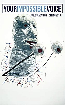 Your Impossible Voice #17-..