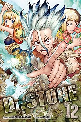 Dr. Stone, Vol. 12: The Secret Of Petrification-..