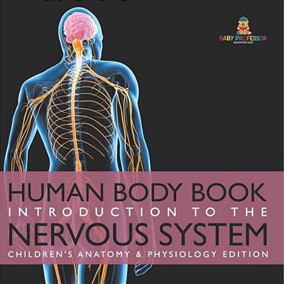 Human Body Book Introduction To The Nervous System Children's Anatomy & Physiology Edition-..