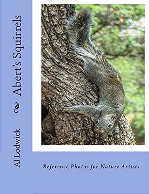 Abert's Squirrels: Reference Photos For Nature Artists-..