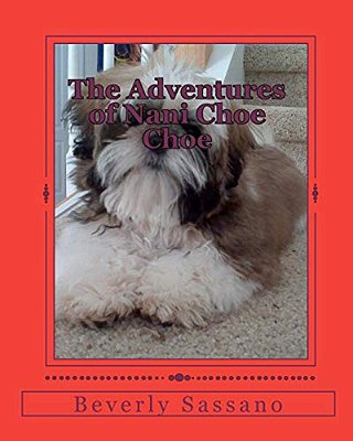 The Adventures Of Nani Choe Choe-..