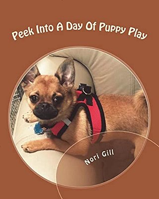 Peek Into A Day Of Puppy Play-..