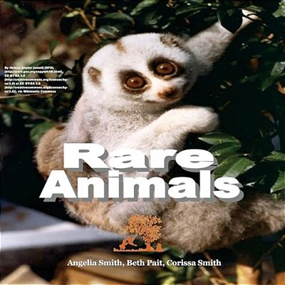 Rare Animals-..