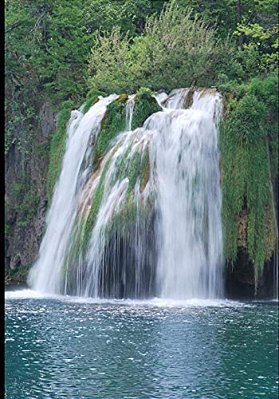 Carmichael Falls Junior Rangers-..