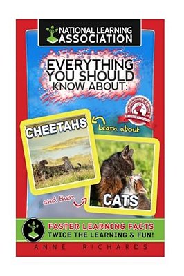 Everything You Should Know About: Cheetahs And Cats-..