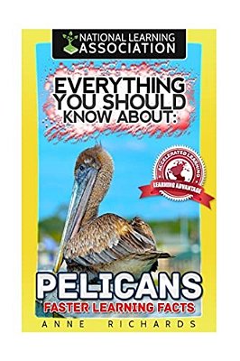 Everything You Should Know About: Pelicans Faster Learning Facts-..