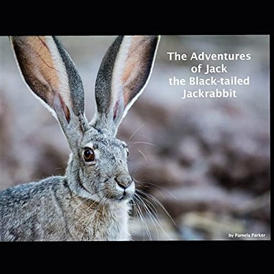 The Adventures Of Jack The Black-Tailed Jackrabbit-..