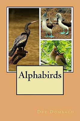 Alphabirds-..