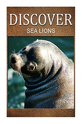 Sea Lion - Discover: Early Reader's Wildlife Photography Book-..