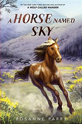 A Horse Named Sky-..