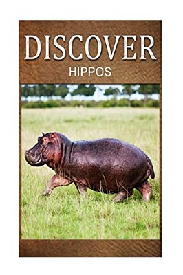 Hippos - Discover: Early Reader's Wildlife Photography Book-..