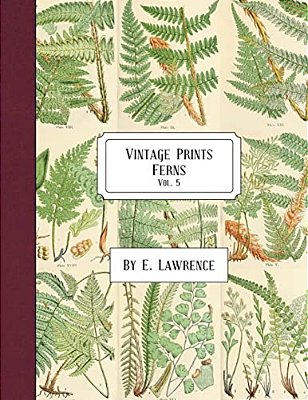 Vintage Prints: Ferns: Vol. 5-..