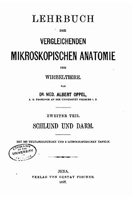 Lehrbuch Der Vergleichenden Mikroskopischen Anatomie-..