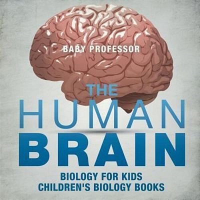 The Human Brain - Biology For Kids Children's Biology Books-..