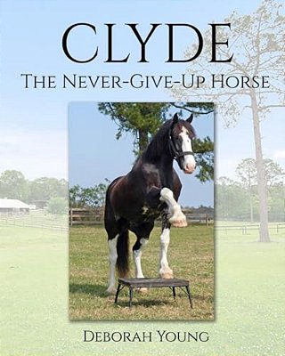 Clyde: The-Never-give-up-horse-..