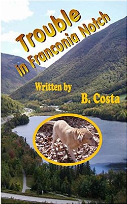 Trouble In Franconia Notch-..